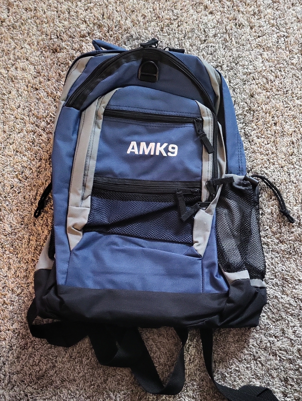 Blue and Gray Men’s Backpack